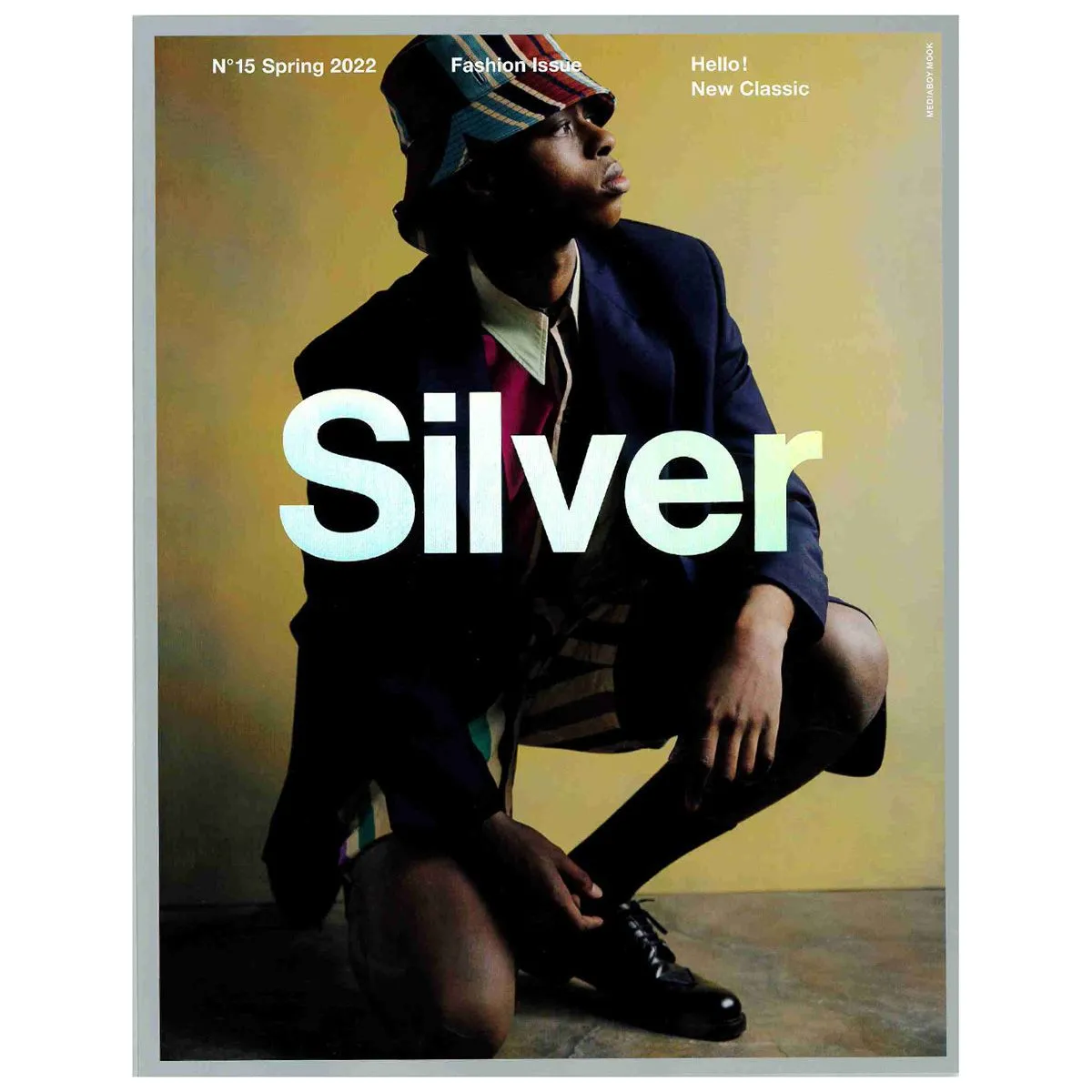 Silver Vol 15